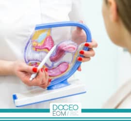 CORSO AVANZATO TEORICO-PRATICO SULLA RIABILITAZIONE PERINEALE